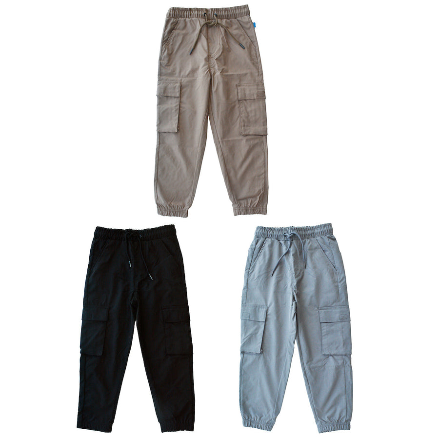 Pantal‚àö‚â•n Cargo