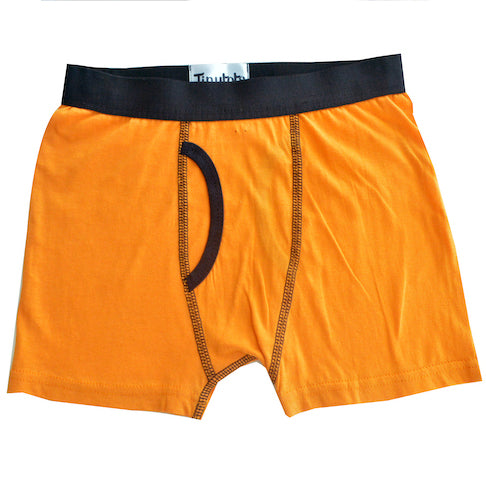 Boxer